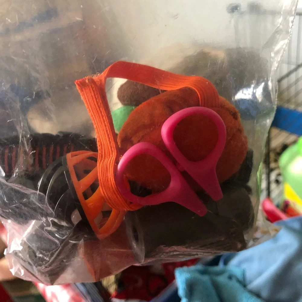 Guinea pig, housing, cage, table, play pin, toys, laundry basket, bedding
